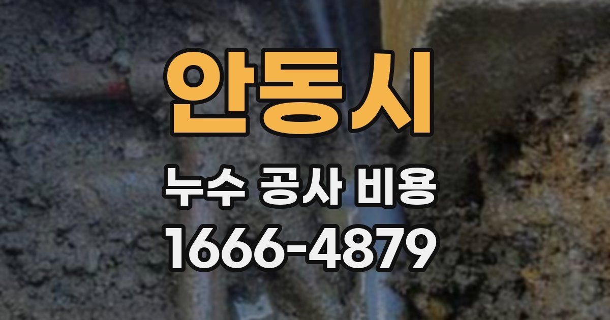 안동시 누수 공사 비용