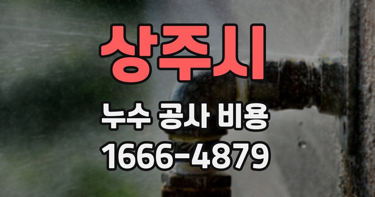 상주시 누수 공사 비용