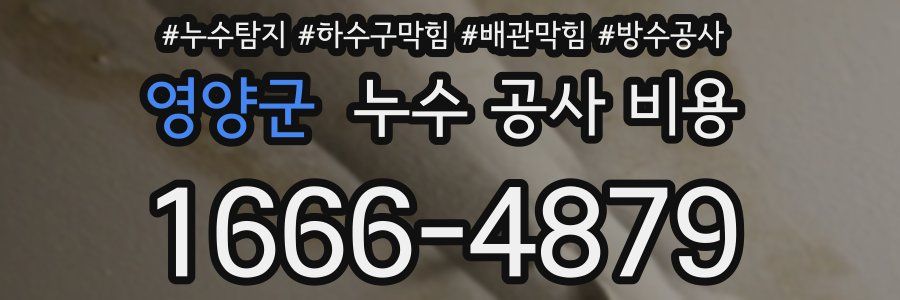 영양군 누수 공사 비용
