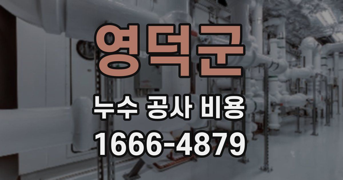 영덕군 누수 공사 비용
