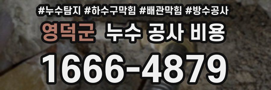 영덕군 누수 공사 비용