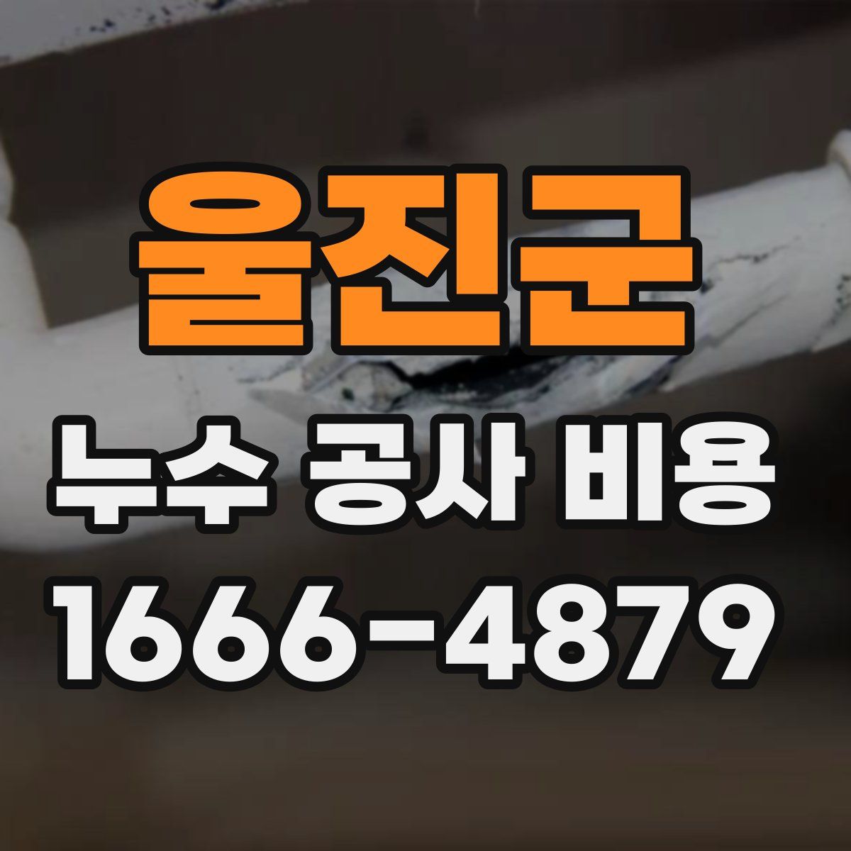 울진군 누수 공사 비용