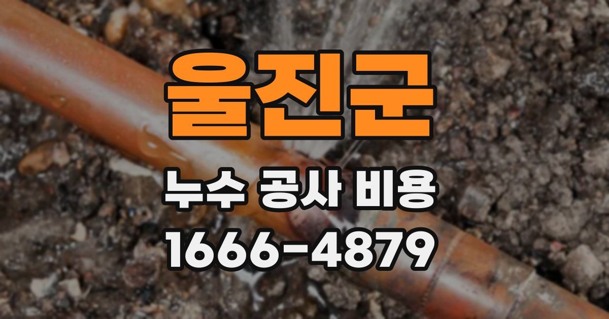 울진군 누수 공사 비용