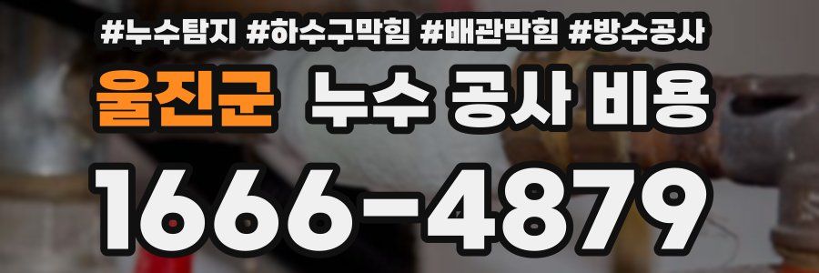 울진군 누수 공사 비용
