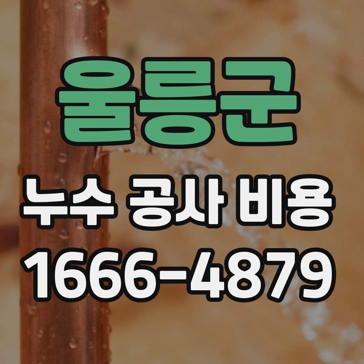 울릉군 누수 공사 비용