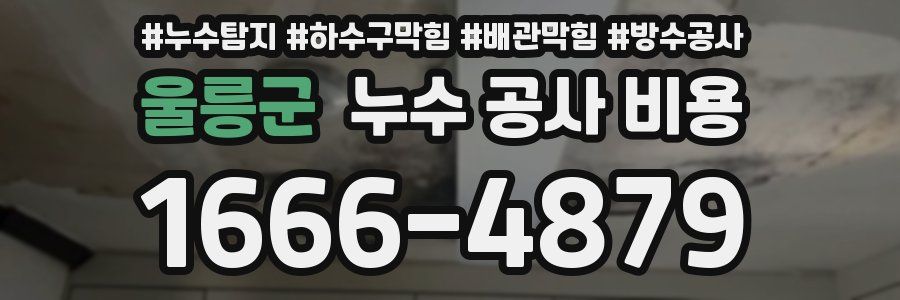 울릉군 누수 공사 비용