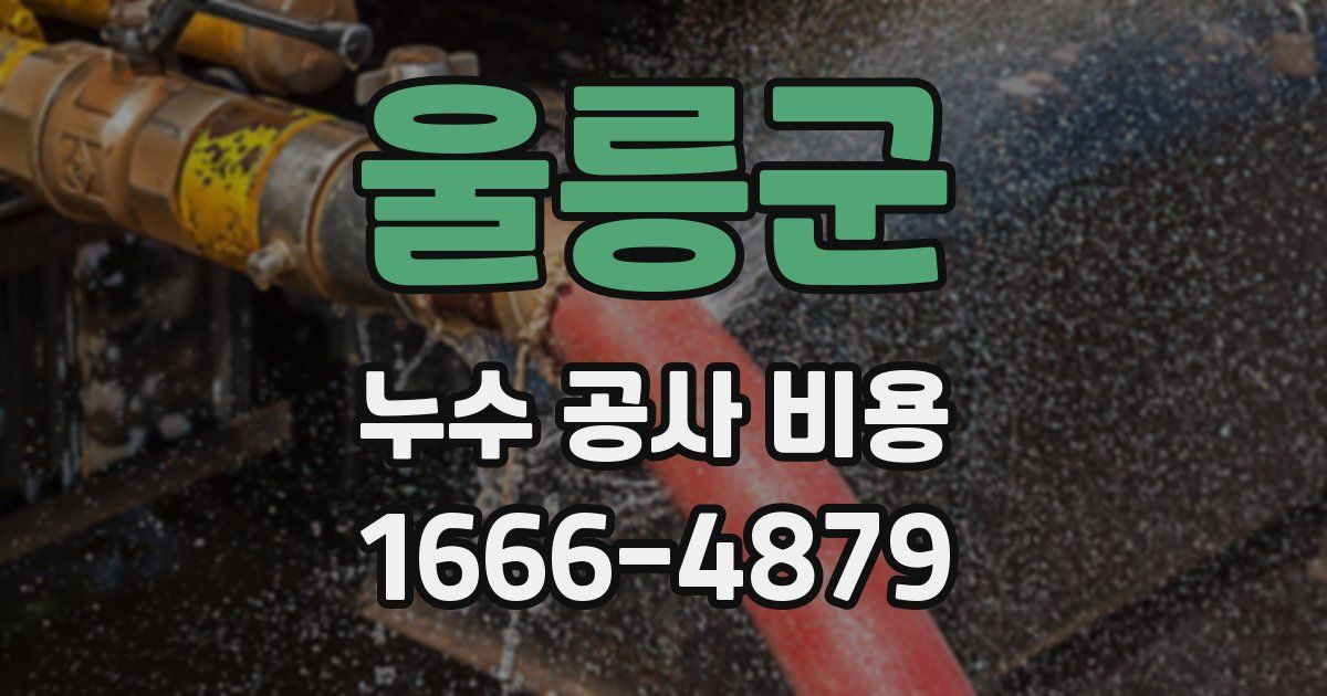 울릉군 누수 공사 비용