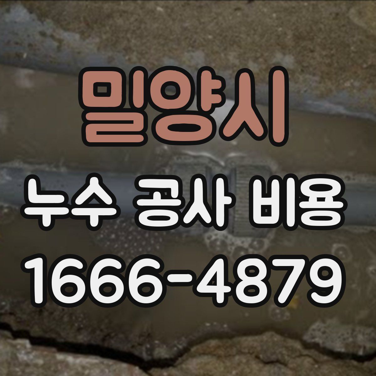 밀양시 누수 공사 비용