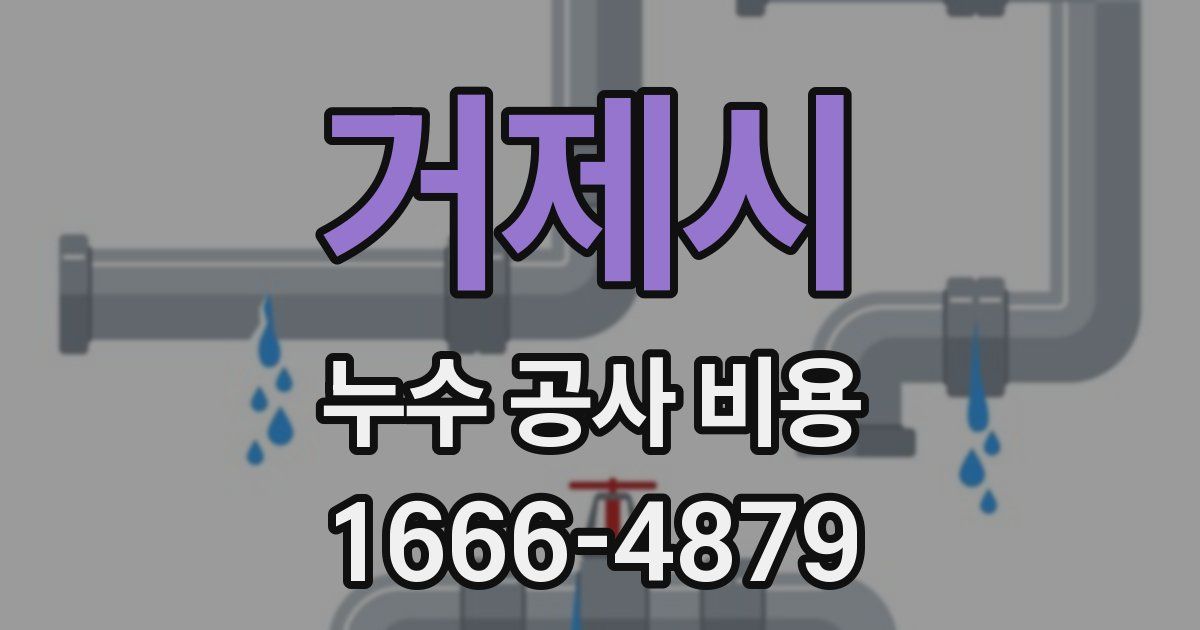 거제시 누수 공사 비용