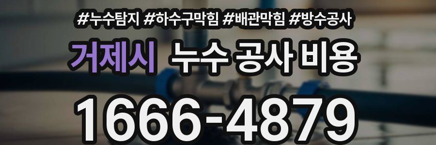 거제시 누수 공사 비용