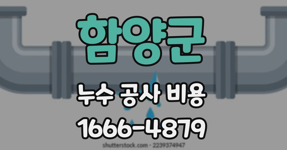 함양군 누수 공사 비용