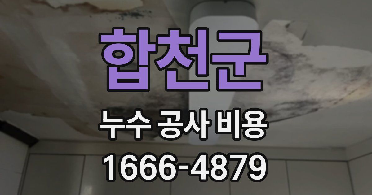 합천군 누수 공사 비용