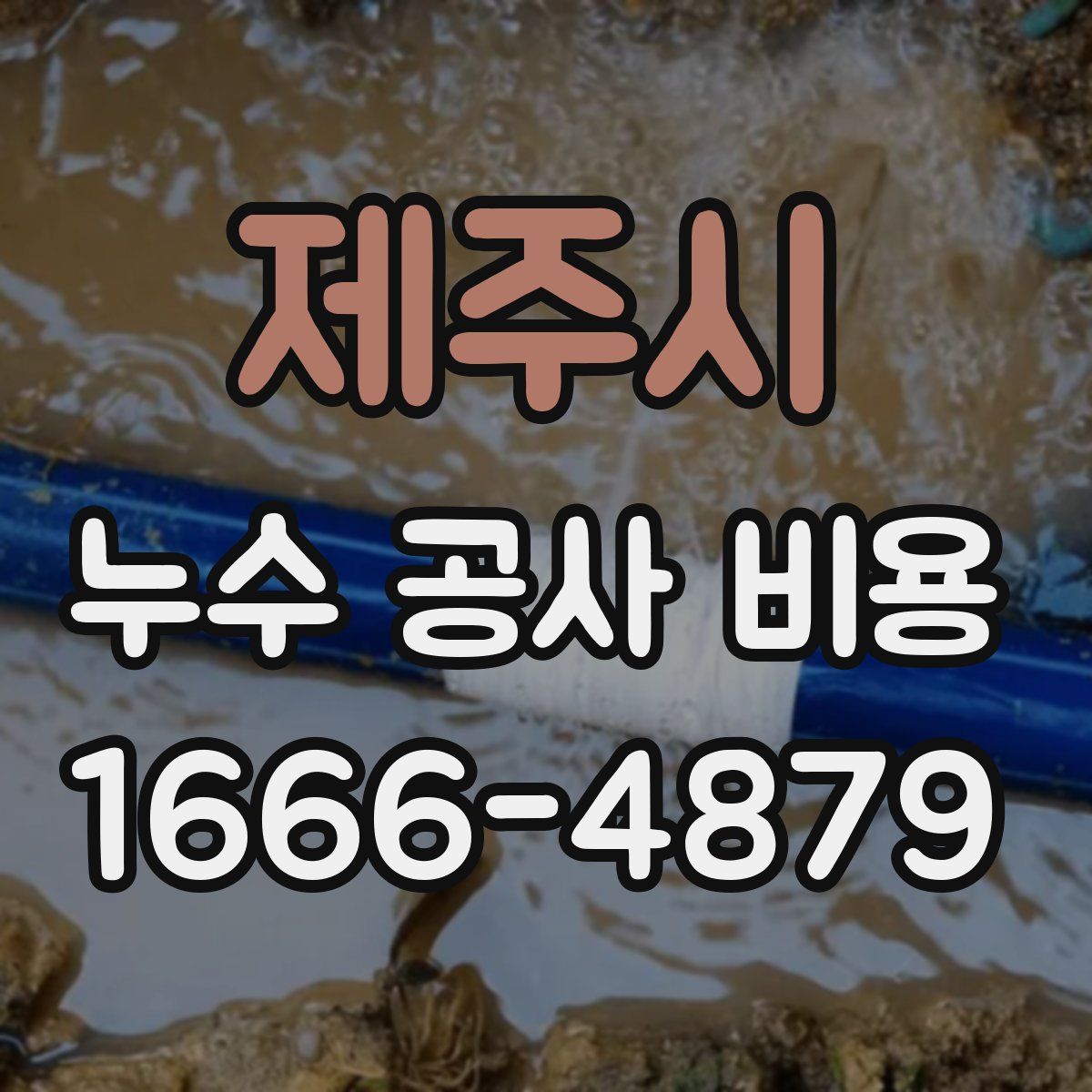 제주시 누수 공사 비용