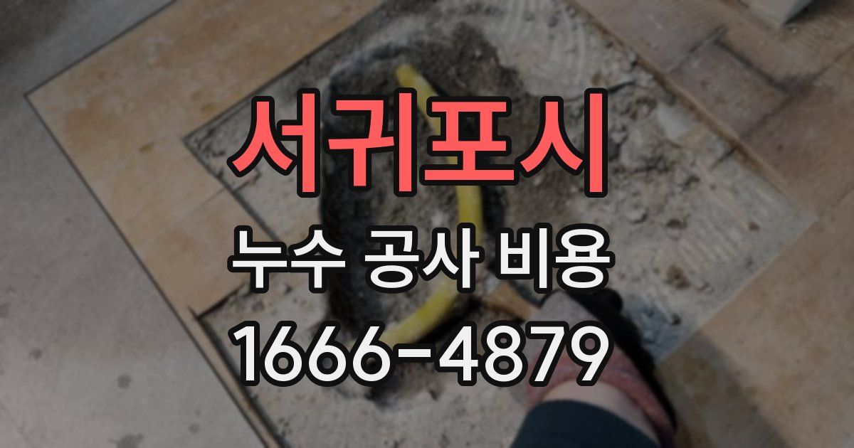 서귀포시 누수 공사 비용