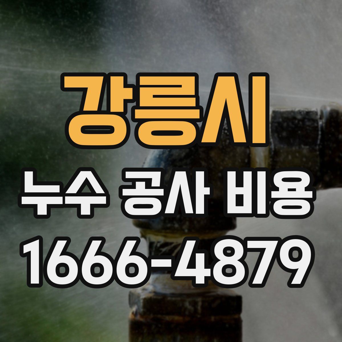 강릉시 누수 공사 비용