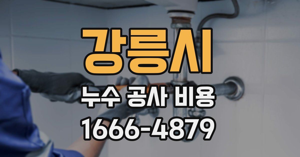 강릉시 누수 공사 비용