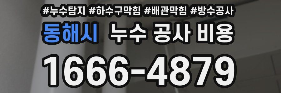 동해시 누수 공사 비용