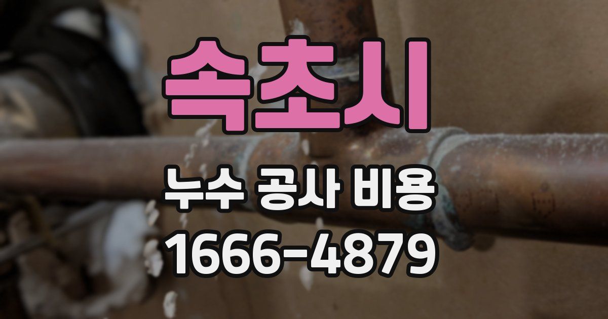 속초시 누수 공사 비용