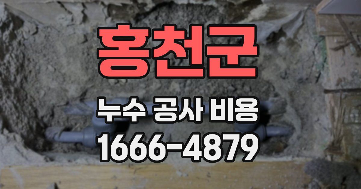 홍천군 누수 공사 비용