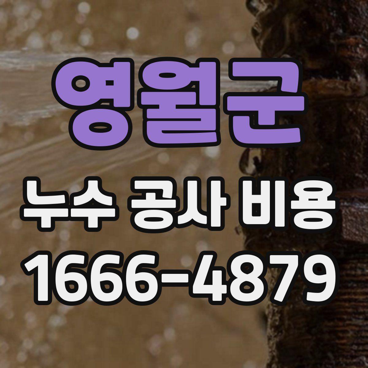 영월군 누수 공사 비용