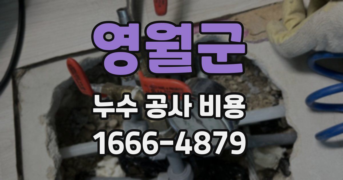 영월군 누수 공사 비용