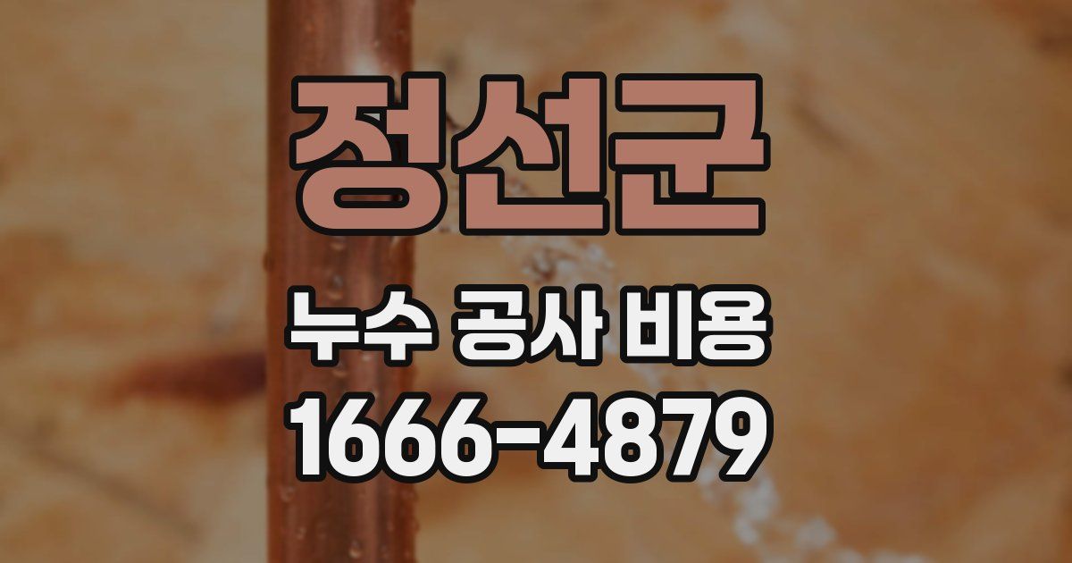 정선군 누수 공사 비용