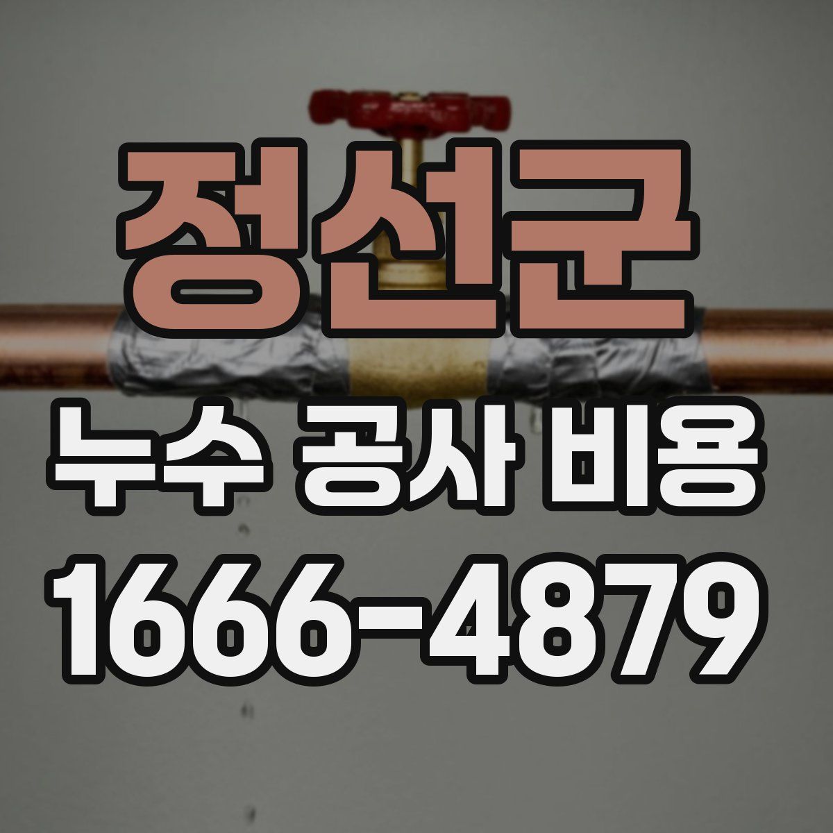 정선군 누수 공사 비용