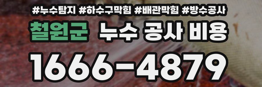 철원군 누수 공사 비용