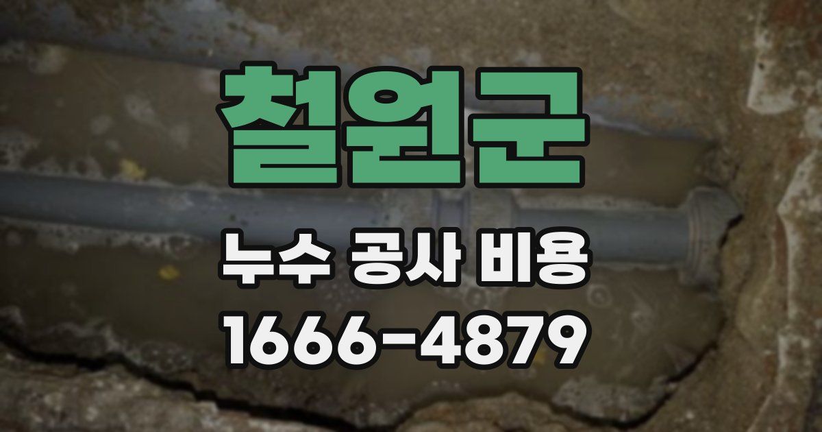철원군 누수 공사 비용