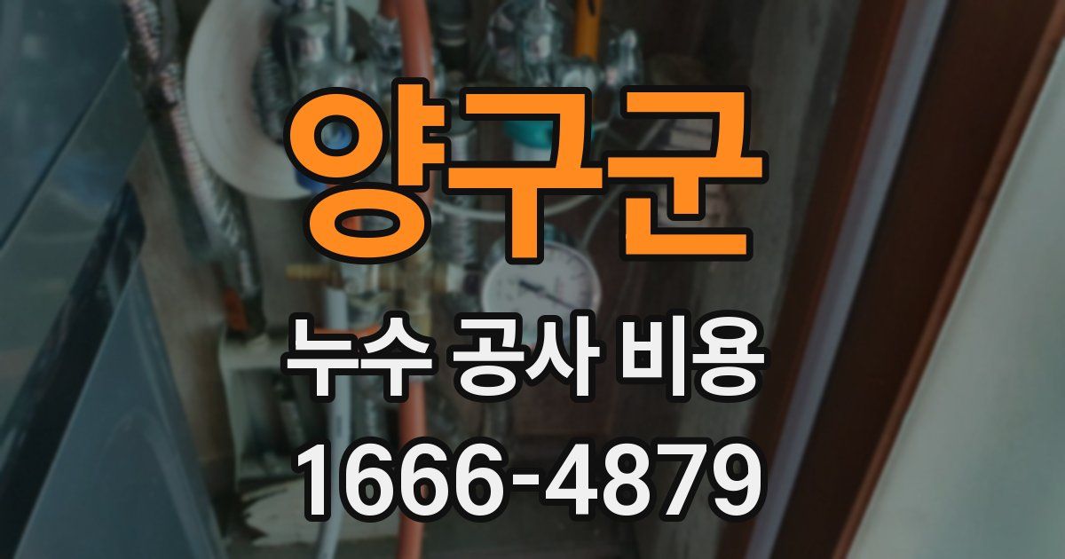 양구군 누수 공사 비용