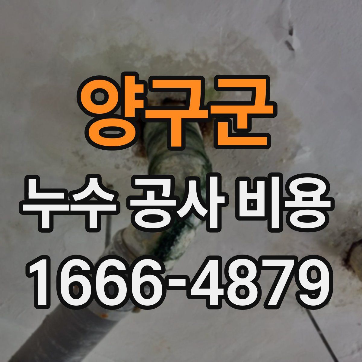 양구군 누수 공사 비용