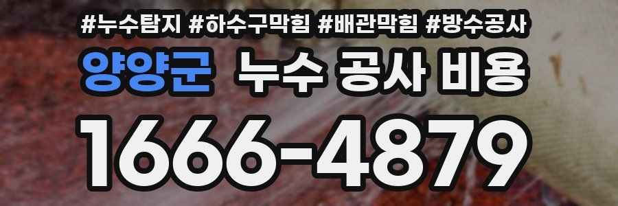 양양군 누수 공사 비용