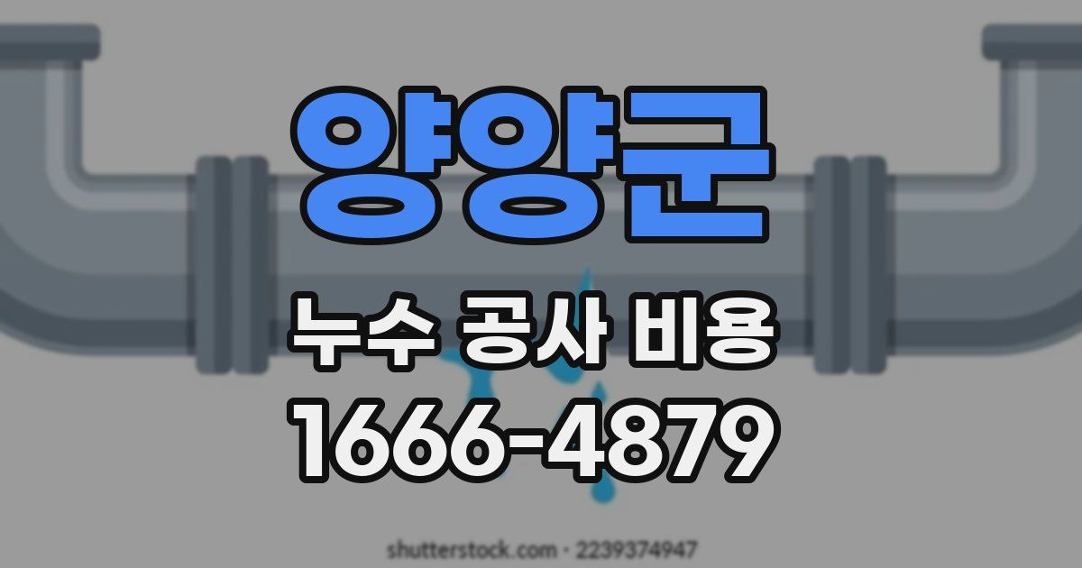 양양군 누수 공사 비용