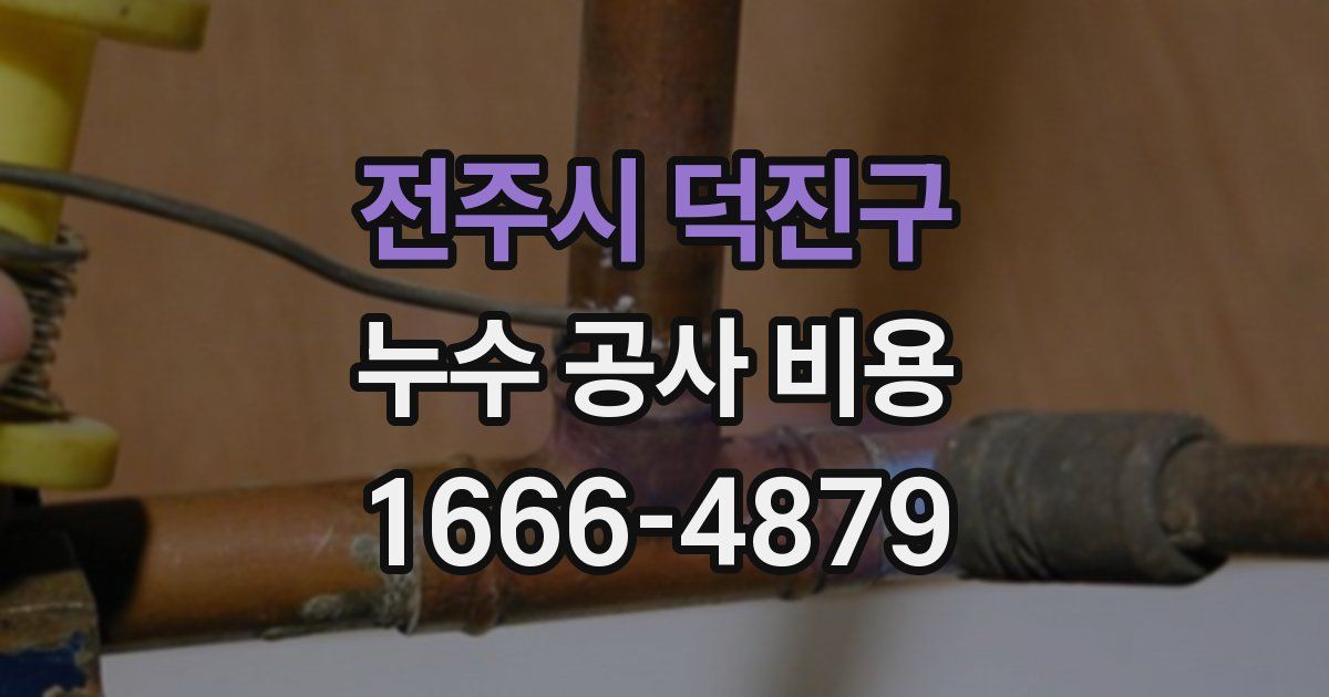 전주시 덕진구 누수 공사 비용