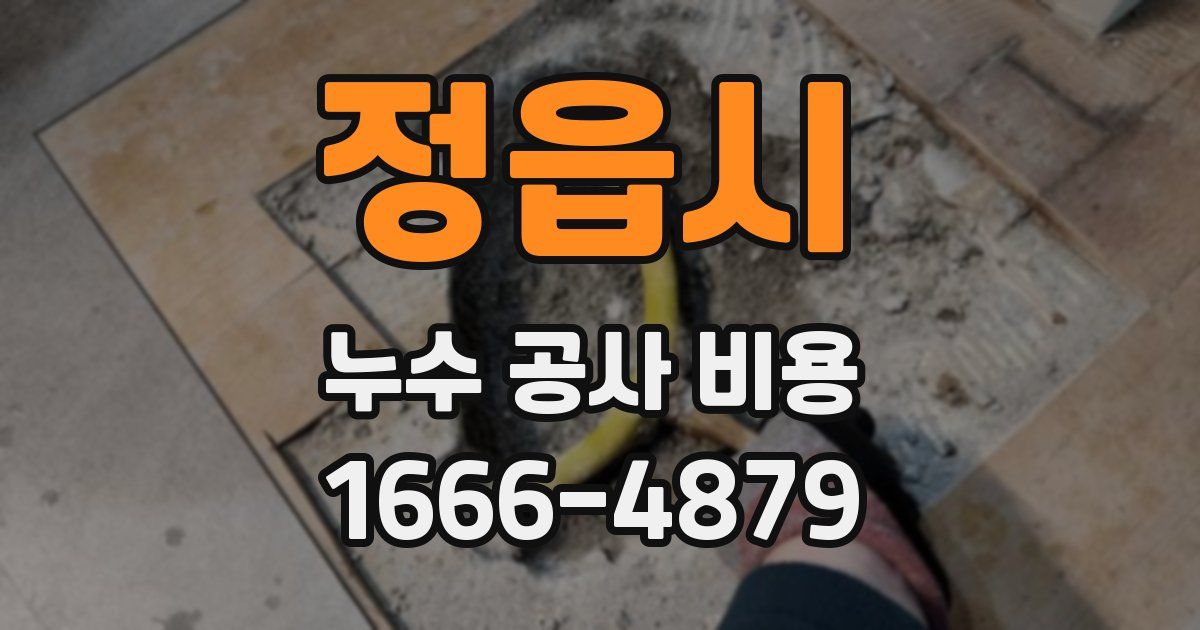 정읍시 누수 공사 비용