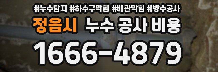 정읍시 누수 공사 비용