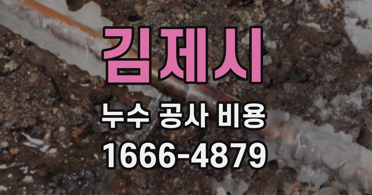 김제시 누수 공사 비용