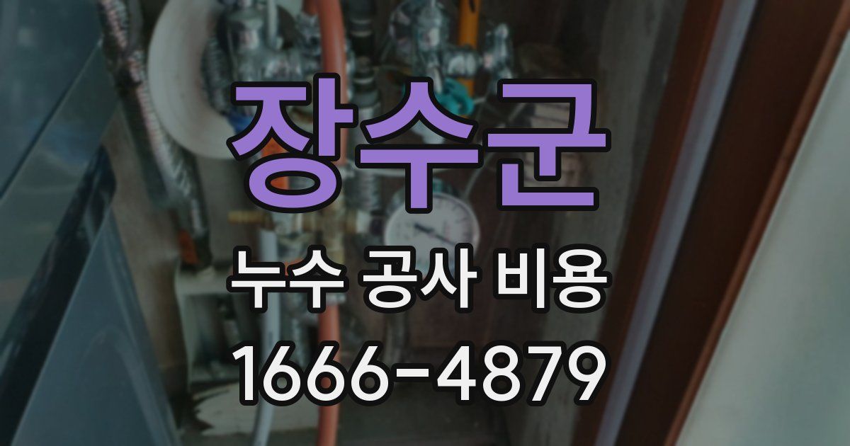 장수군 누수 공사 비용