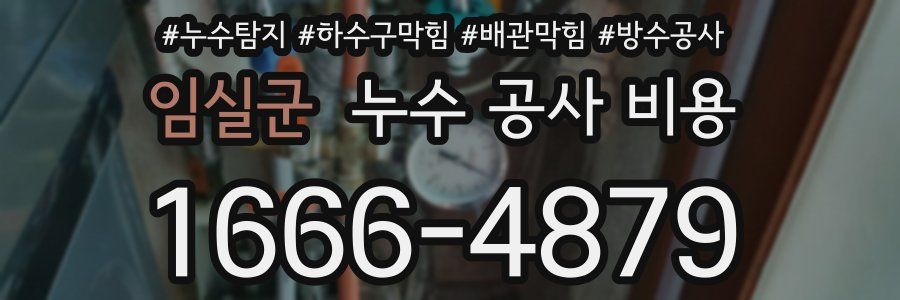 임실군 누수 공사 비용