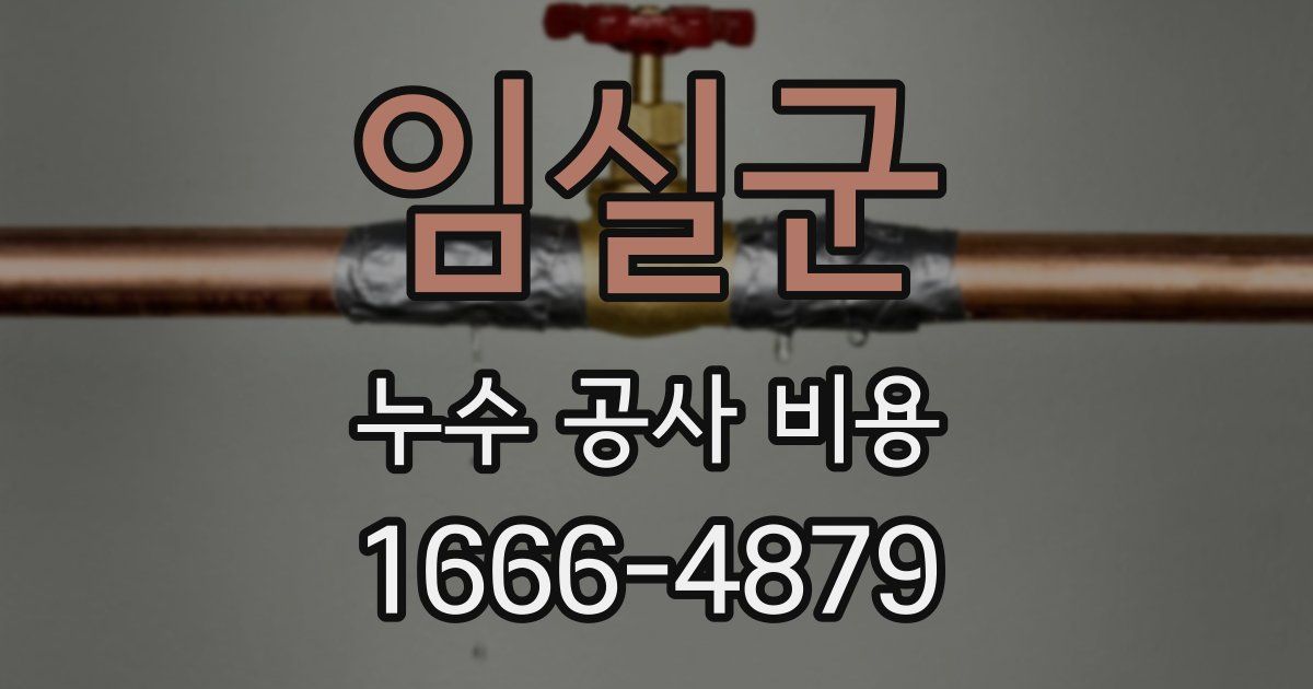 임실군 누수 공사 비용