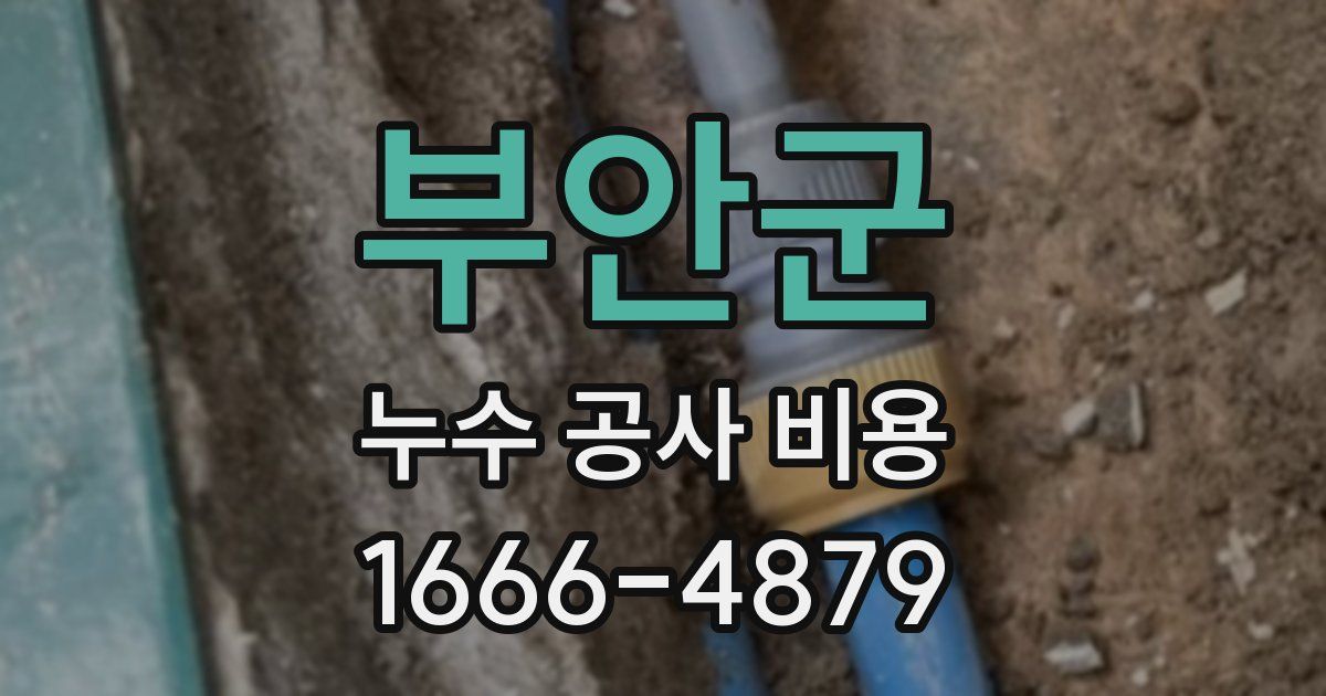 부안군 누수 공사 비용