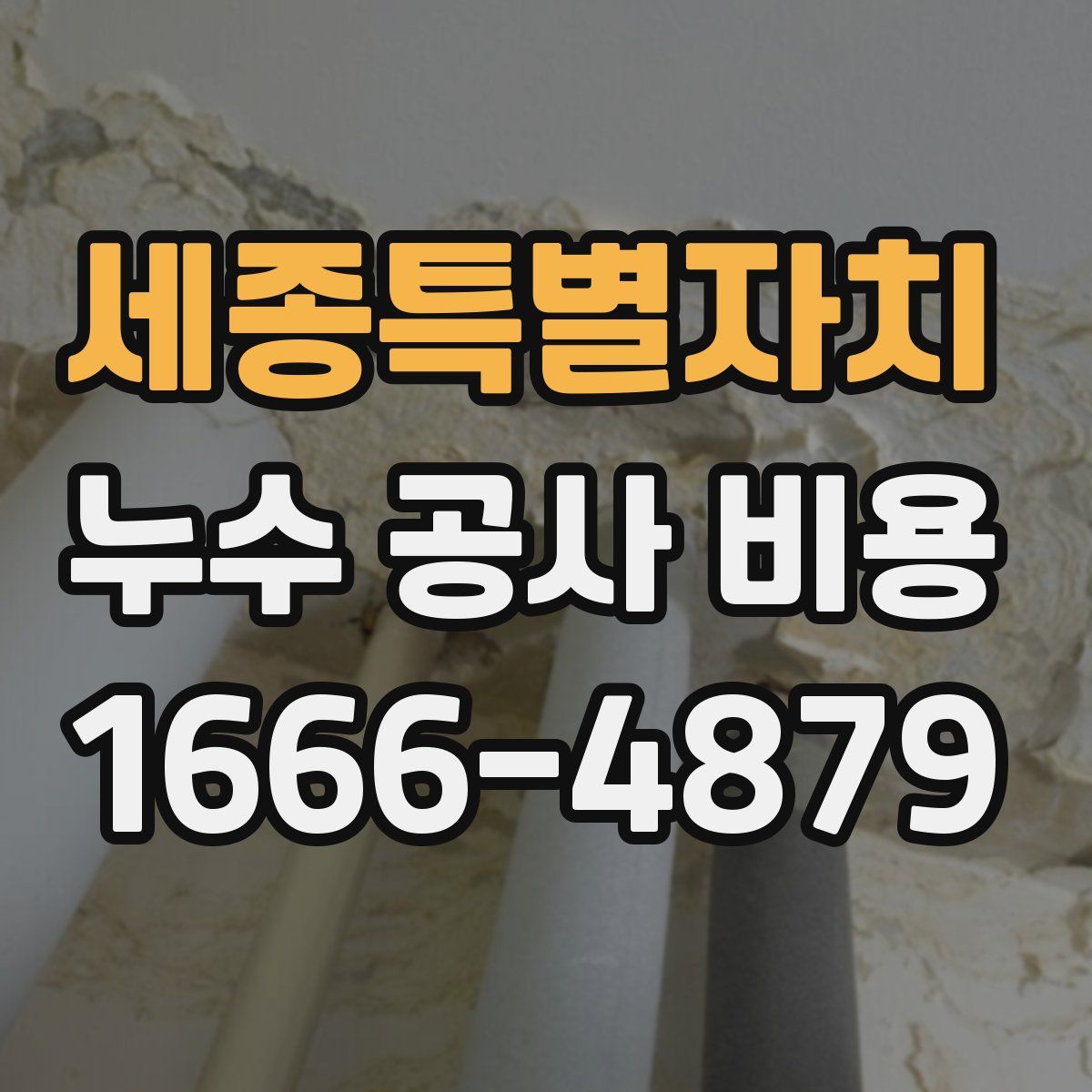 세종특별자치 누수 공사 비용