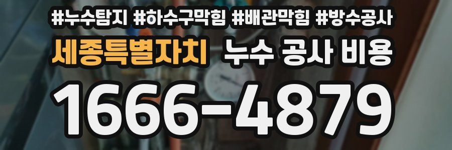 세종특별자치 누수 공사 비용