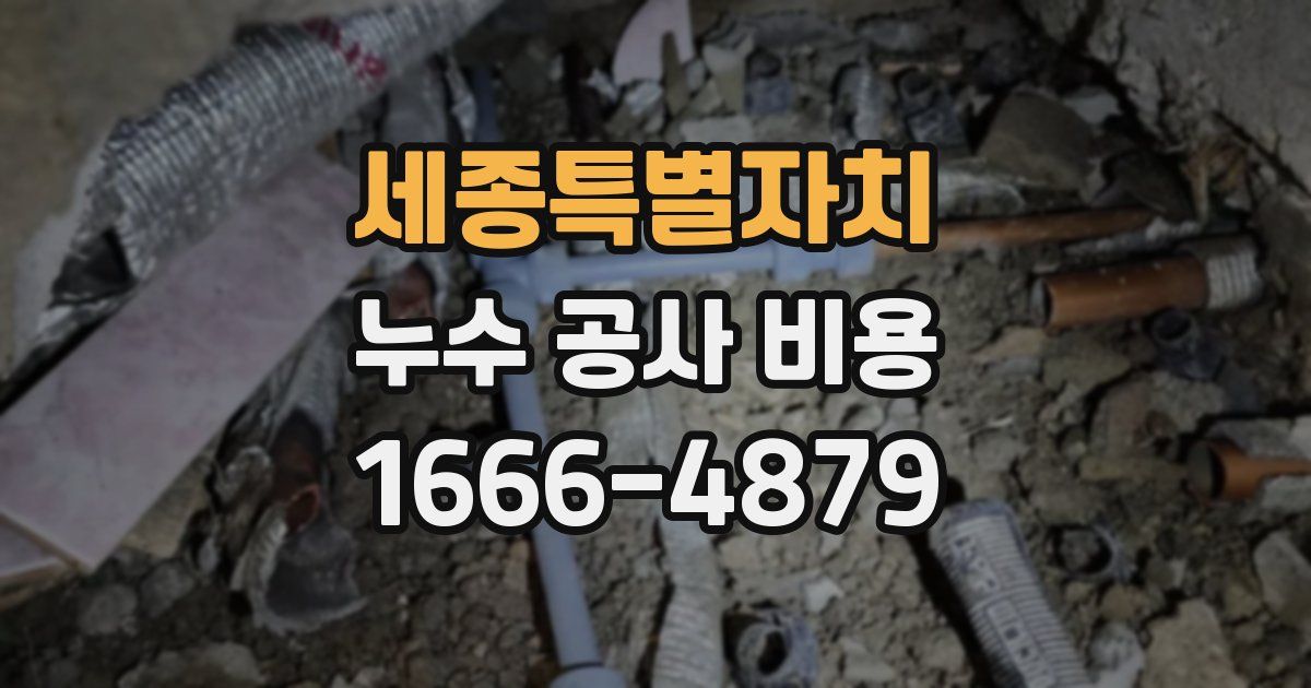 세종특별자치 누수 공사 비용