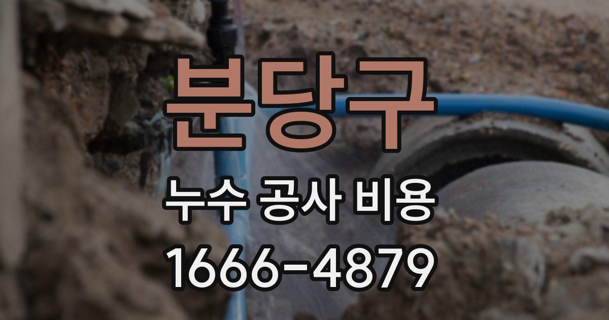 분당구 누수 공사 비용