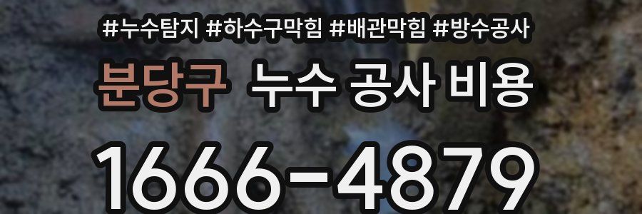분당구 누수 공사 비용