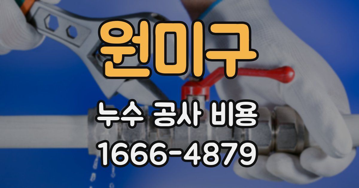 원미구 누수 공사 비용