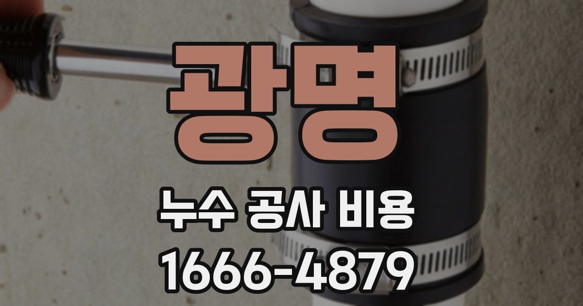 광명 누수 공사 비용