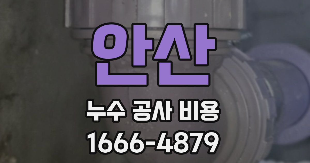 안산 누수 공사 비용