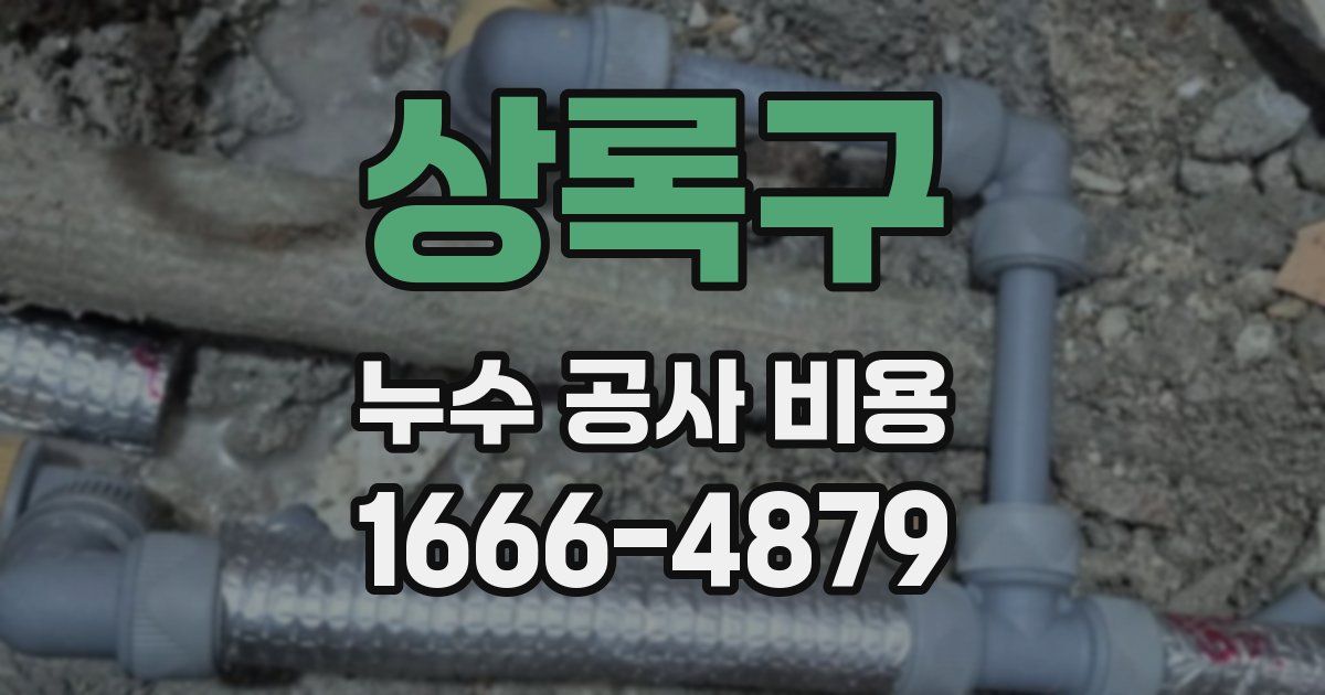 상록구 누수 공사 비용